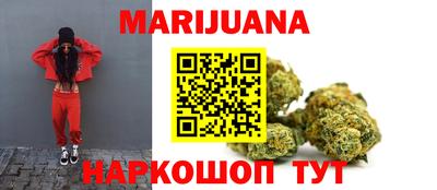 крисы Краснодар